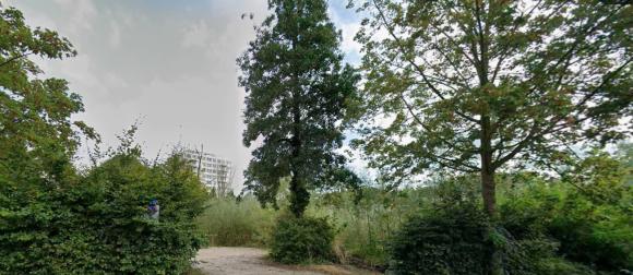 Nieuwe Knarrenhof in Den Haag stap dichterbij