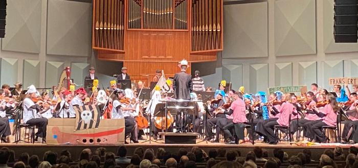 Het co&ouml;ptatierecht