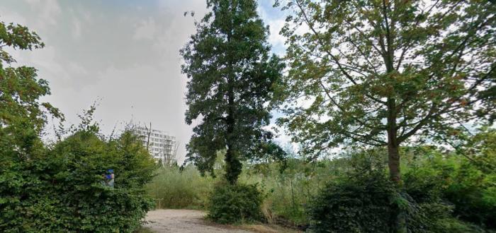 Nieuwe Knarrenhof in Den Haag stap dichterbij